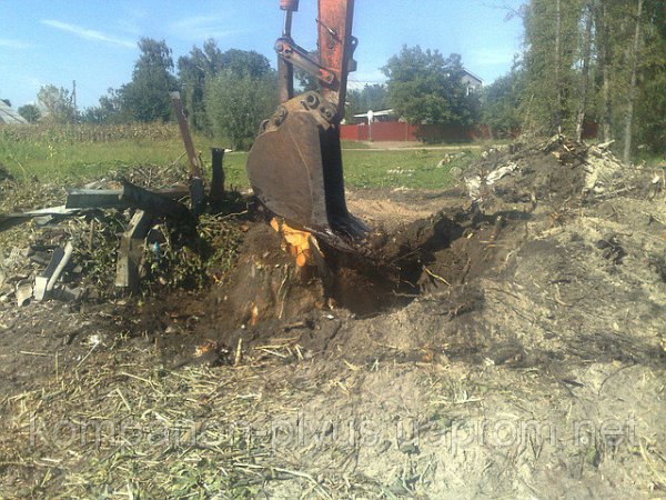 Очистка строительного участка от деревьев