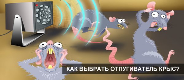 Нет грызунам в квартире или на дачном участке
