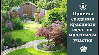 Маленький сад дома: идеи для обустройства