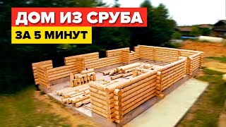 Строительство деревянных домов: польза дерева